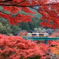 紅葉と渓谷美を楽しむ群馬・みなかみ-水上絶景ドライブモデル
