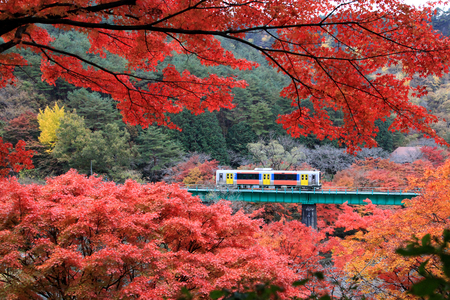 紅葉と渓谷美を楽しむ群馬・みなかみ-水上絶景ドライブモデル