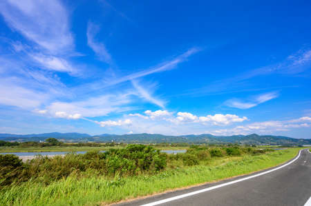 四季折々の花絶景！神奈川・三浦半島のロマンチックドライブモデル