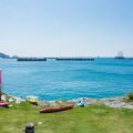 茨城大洗海岸とひたち海浜公園を楽しむ日帰りドライブの楽しみ方