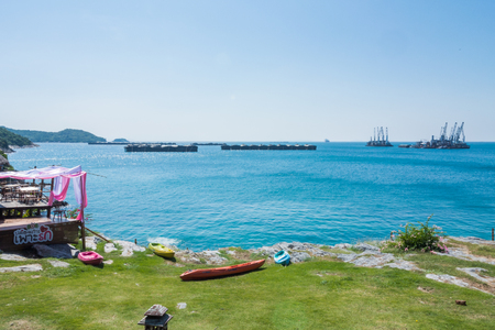 茨城大洗海岸とひたち海浜公園を楽しむ日帰りドライブの楽しみ方