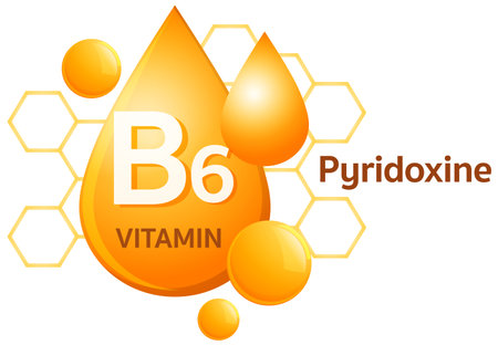 自治体によるインフラ整備の具体策