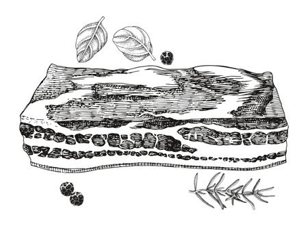 行政や自治体との連携事例