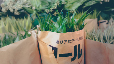 サウンドにもこだわる!オーディオスペースのドレスアップ方法