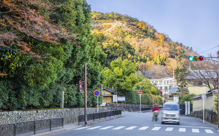 都会のオアシス！秩父・長瀞川沿いドライブで楽しむ自然とグルメ