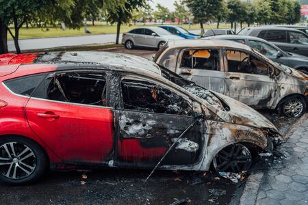 近年増加中！災害リスクに対応した自動車保険の選び方