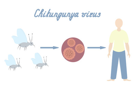 走行性能とドライブフィール