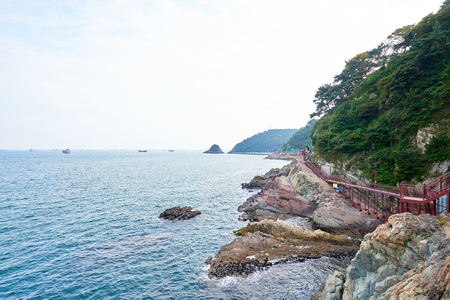 【夏の絶景】海沿いドライブ：日本の美しい海岸線を巡る旅